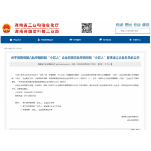 喜訊——騰鴻公司獲評(píng)國家級(jí)專精特新“小巨人”企業(yè)