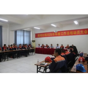  錨定目標(biāo) 聚力攻堅——騰鴻公司召開2025半年度工作總結(jié)動